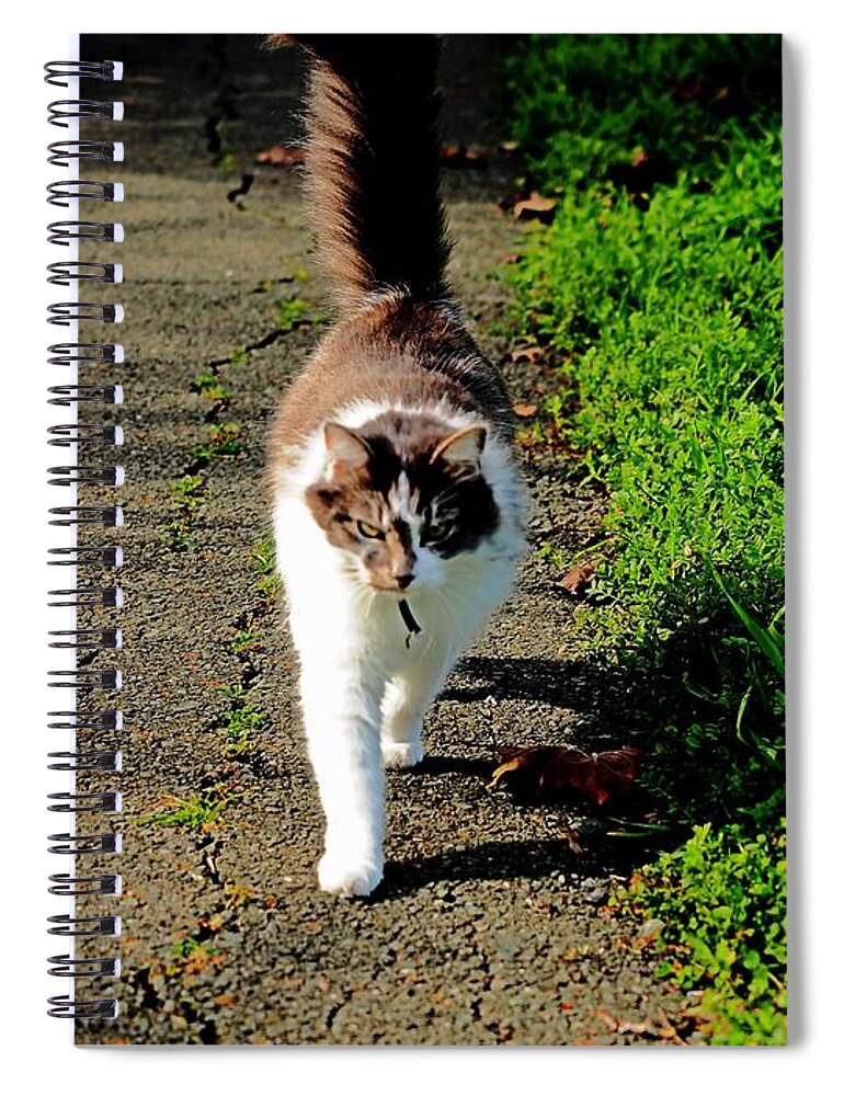 Animal Spiral Notebook featuring the photograph Walk Rock Salt by Richard Thomas
