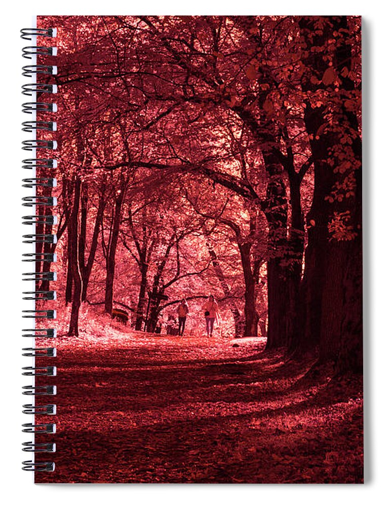 Forest Spiral Notebook featuring the photograph Walking down an enchanted alley by Maria Dimitrova