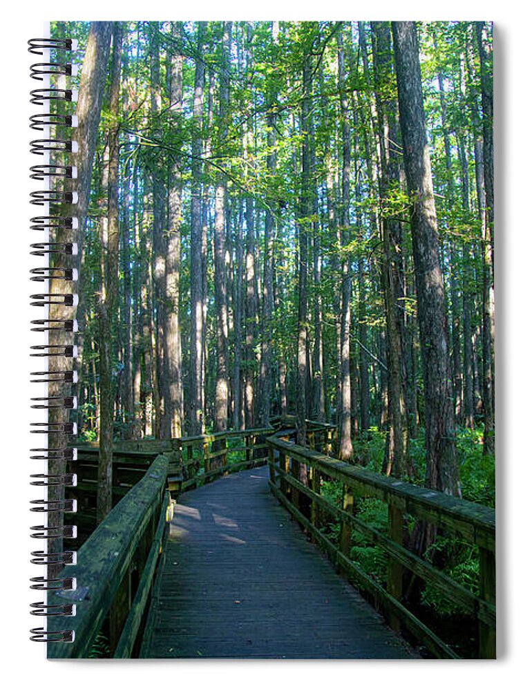 Trees Spiral Notebook featuring the photograph Walkway through trees by Dart Humeston