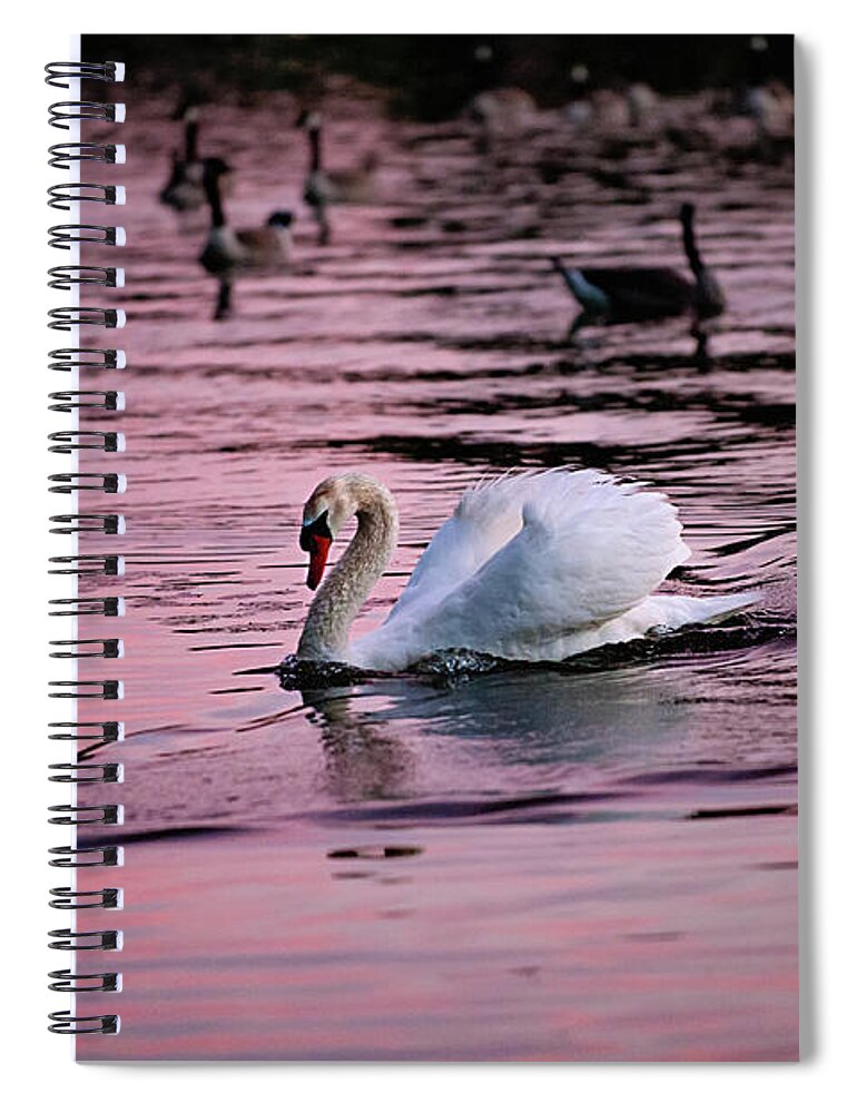 Swan Spiral Notebook featuring the photograph Warrior Pose by Jill Love