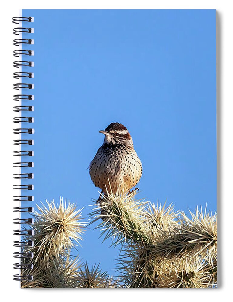 Arboretum Spiral Notebook featuring the photograph Watch Your Step by Rick Furmanek
