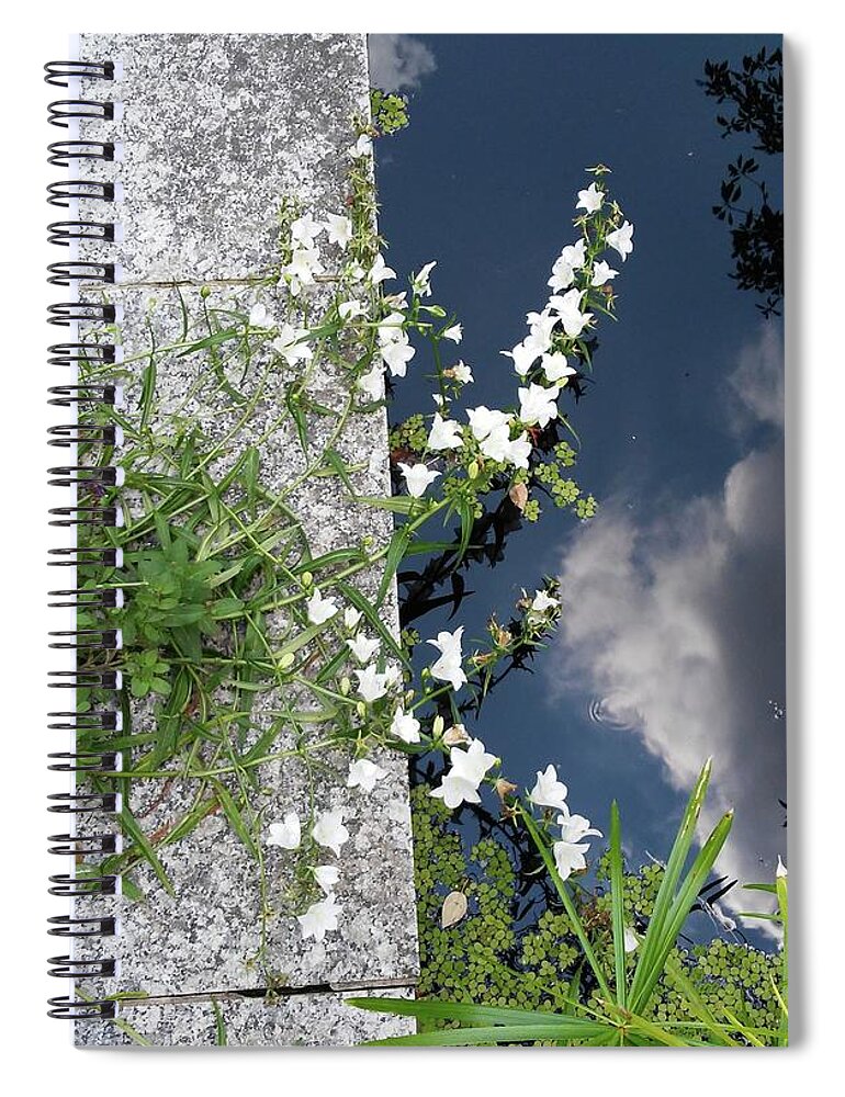  Spiral Notebook featuring the photograph Water Blossoms by John Parry