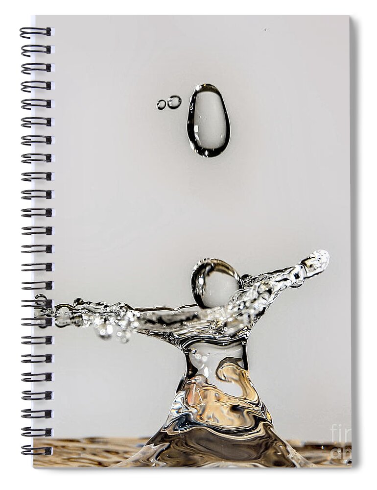 Water Spiral Notebook featuring the photograph Freedom by Tom Watkins PVminer pixs