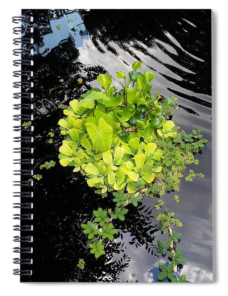  Spiral Notebook featuring the photograph Water Foilage by John Parry