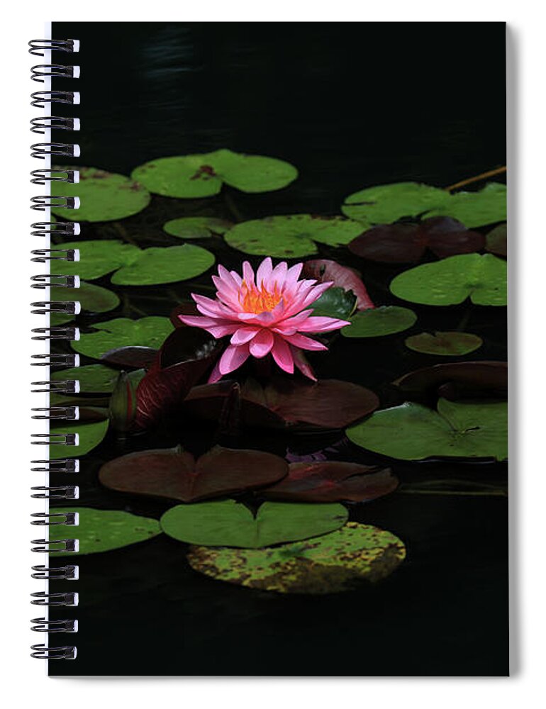 Water Lily Spiral Notebook featuring the photograph Water Lilies 9 by Richard Krebs