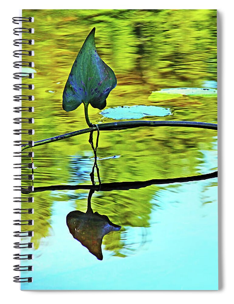 Arrowhead Spiral Notebook featuring the photograph Water Plants by Debbie Oppermann