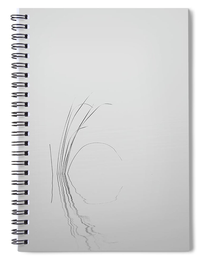 Black Spiral Notebook featuring the photograph Water Reed in Black and White by Carolyn Hutchins