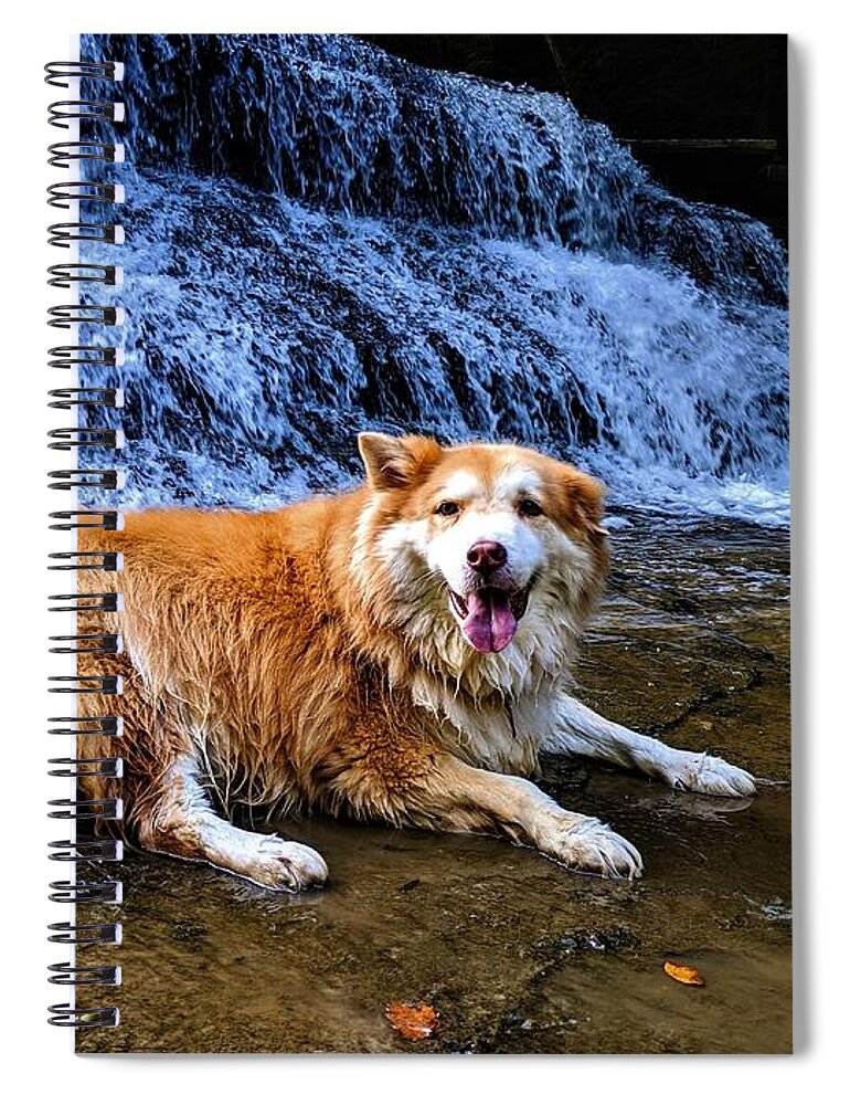  Spiral Notebook featuring the photograph Waterfall Doggy by Brad Nellis