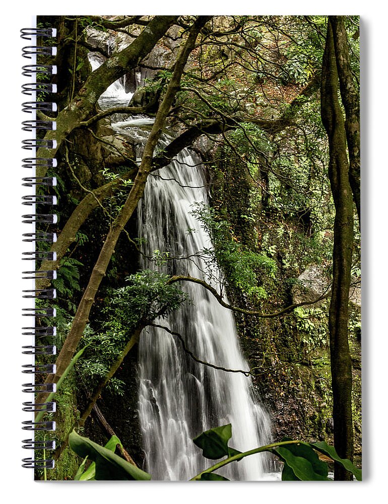 Waterfall Spiral Notebook featuring the photograph Waterfall in the Woods by Denise Kopko