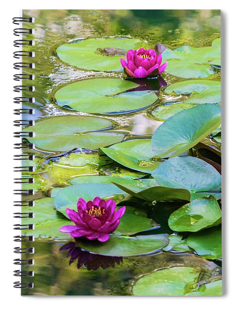 Waterlilies Spiral Notebook featuring the photograph Waterlilies at Gibbs Gardens by Mary Ann Artz