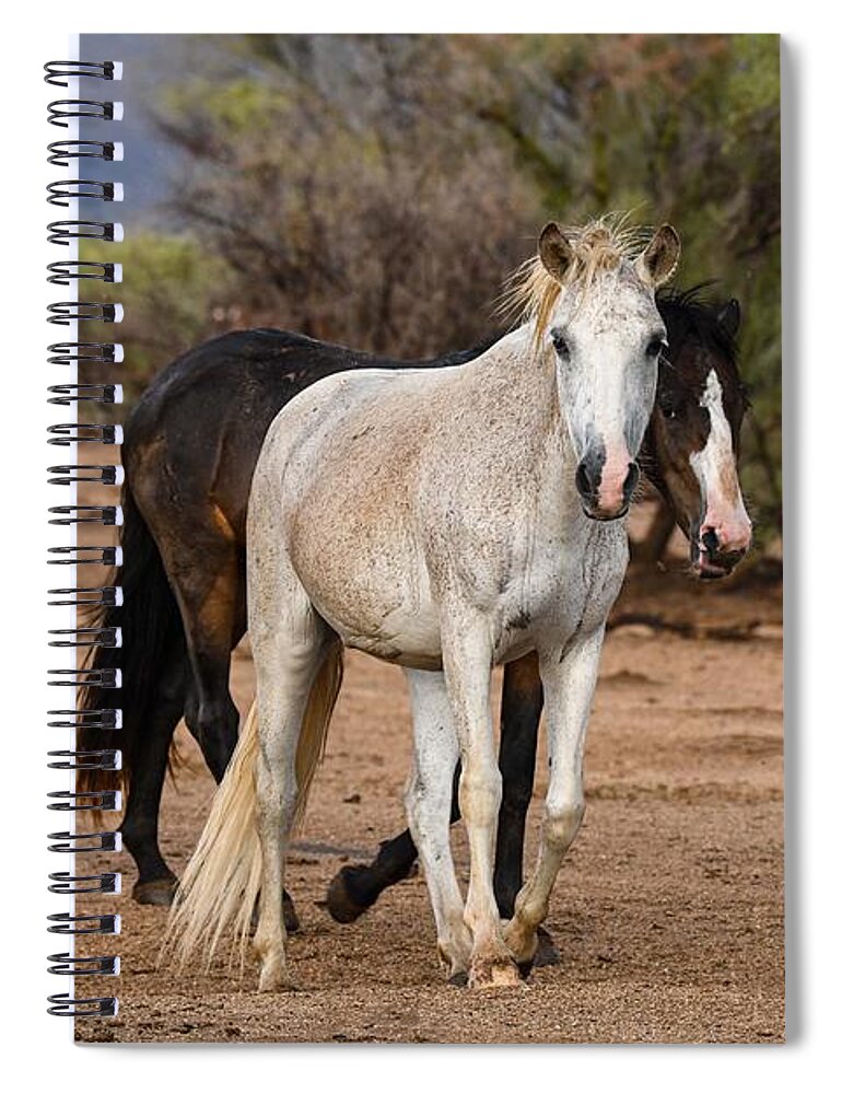 Salt River Wild Horses Coyote And Mama Spiral Notebook featuring the digital art We are Dirty after a Rain but we are still Beautiful by Tammy Keyes