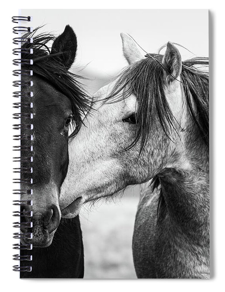 Wild Horses Spiral Notebook featuring the photograph We Too by Mary Hone