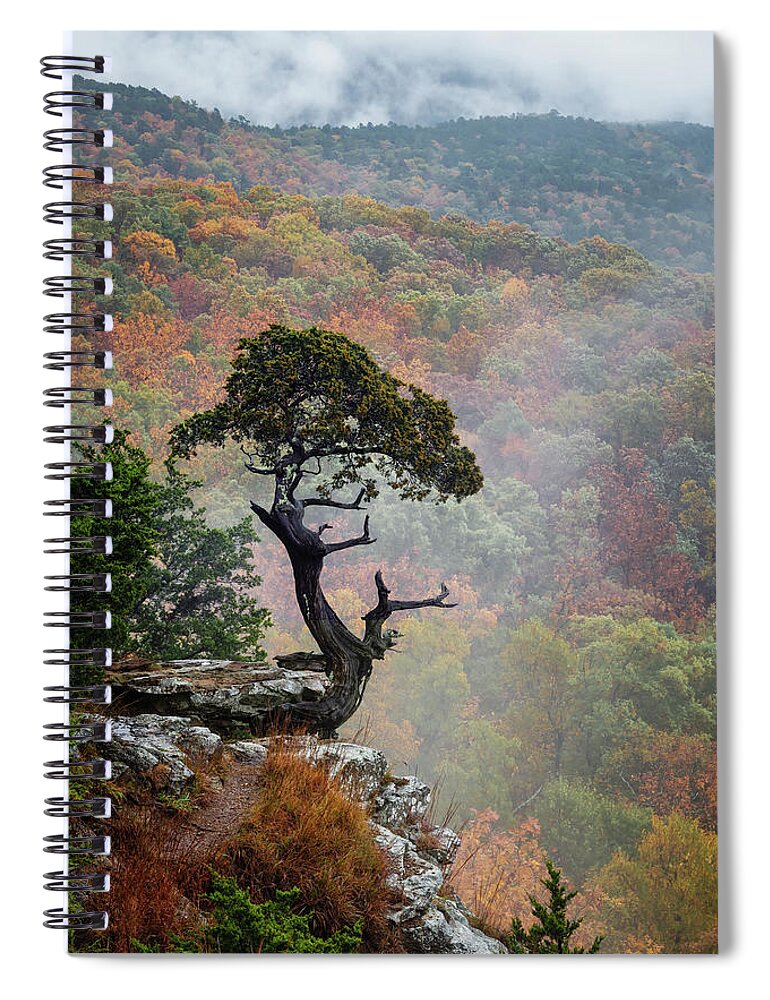 Magazine Mountain Spiral Notebook featuring the photograph Weathered Cedar by James Barber