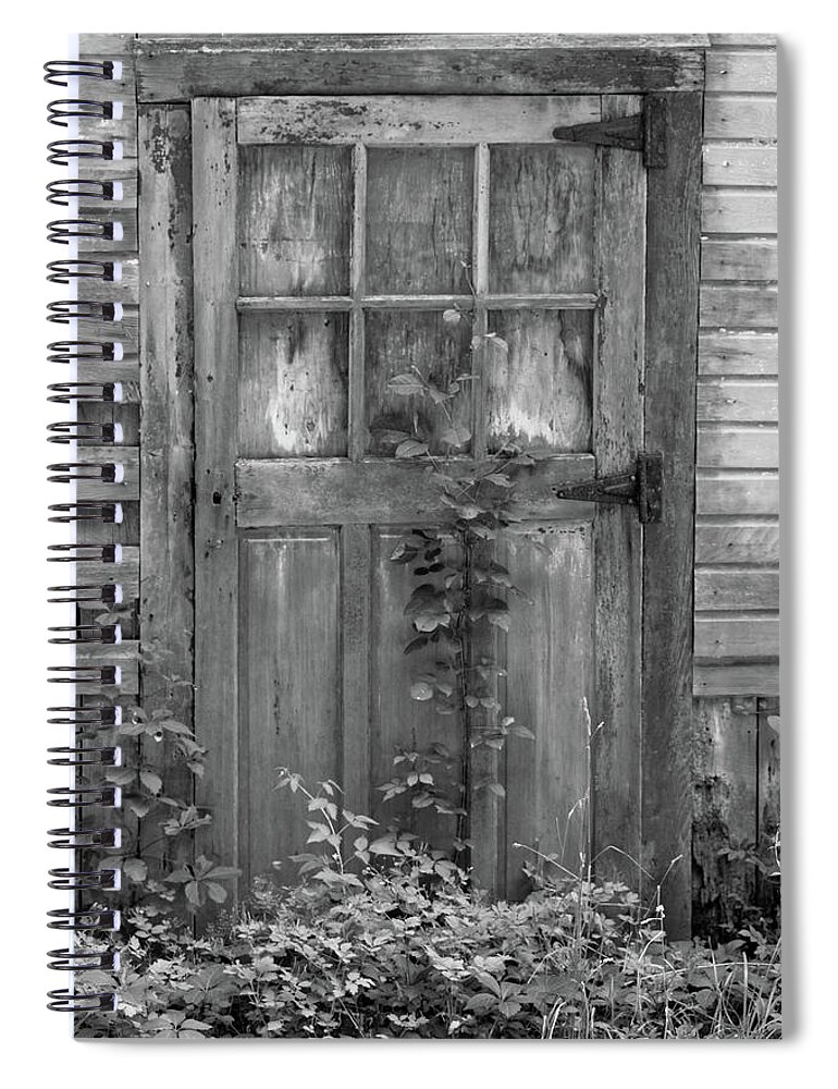 Black And White Barn Spiral Notebook featuring the photograph Weathered Wood Barn Door with Vine by David Letts