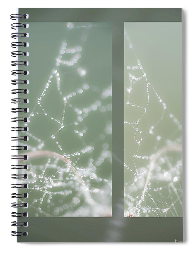 Web Spiral Notebook featuring the photograph Web With Dew by Karen Rispin