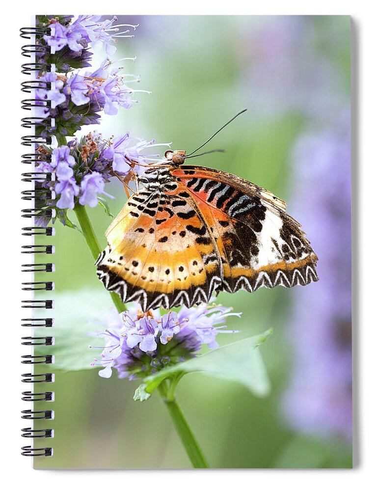 Fritillary Spiral Notebook featuring the photograph Welcome Summer by Patty Colabuono