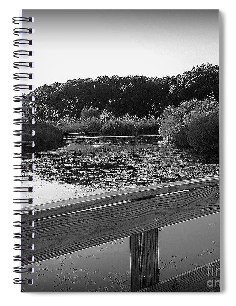 Nature Spiral Notebook featuring the photograph Wetlands from the Bridge by Frank J Casella