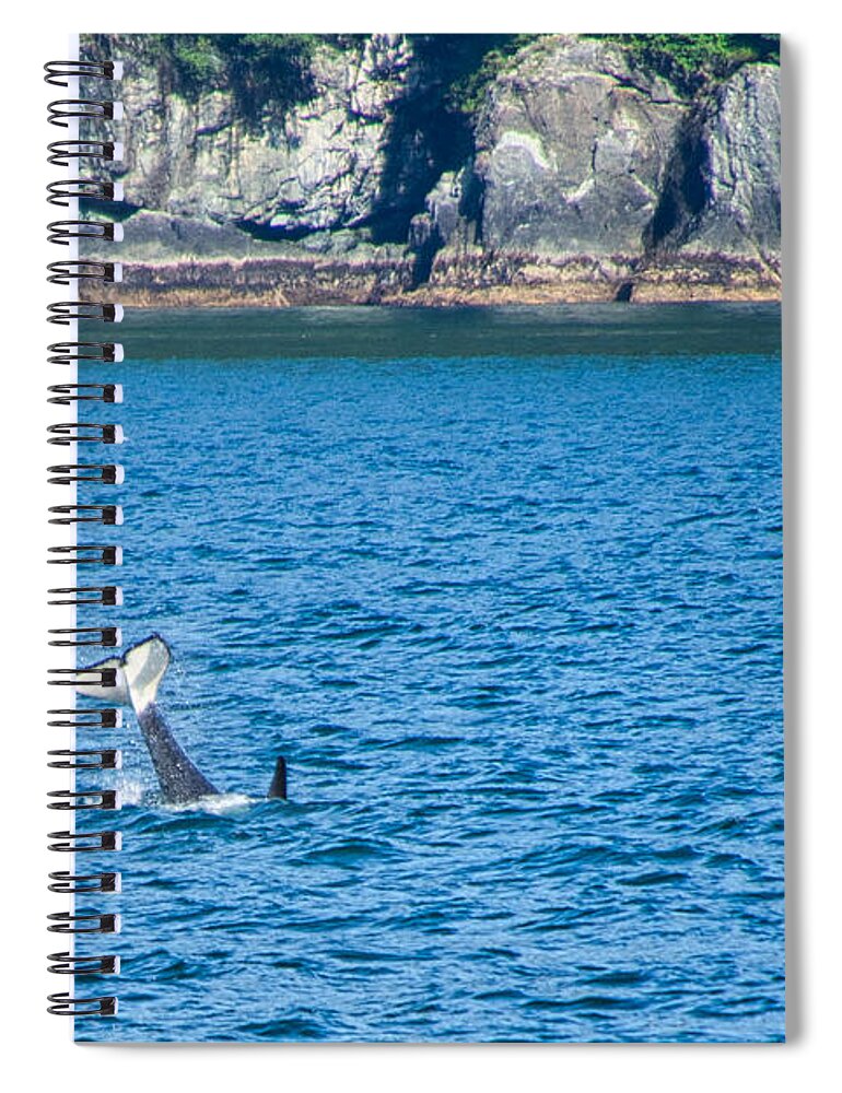 Orca Spiral Notebook featuring the photograph Whale Tail by Steph Gabler