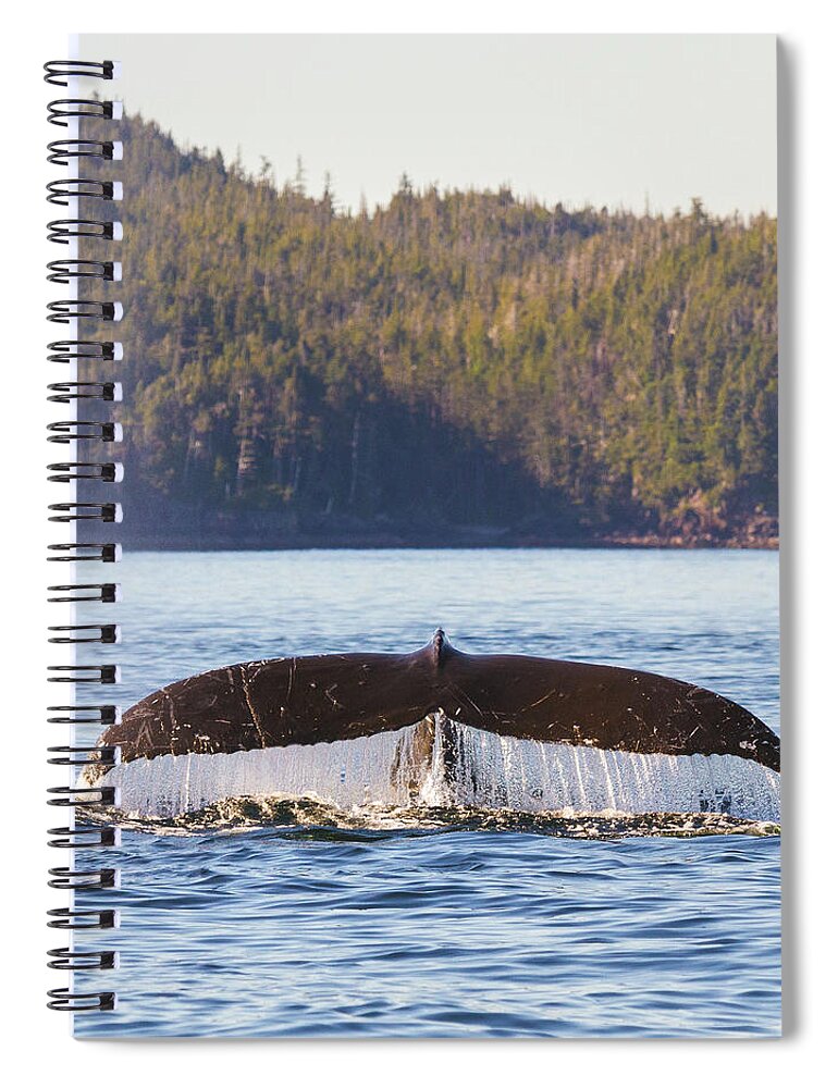 Whale Tale Spiral Notebook featuring the photograph Whale Tale 1 by Michael Rauwolf