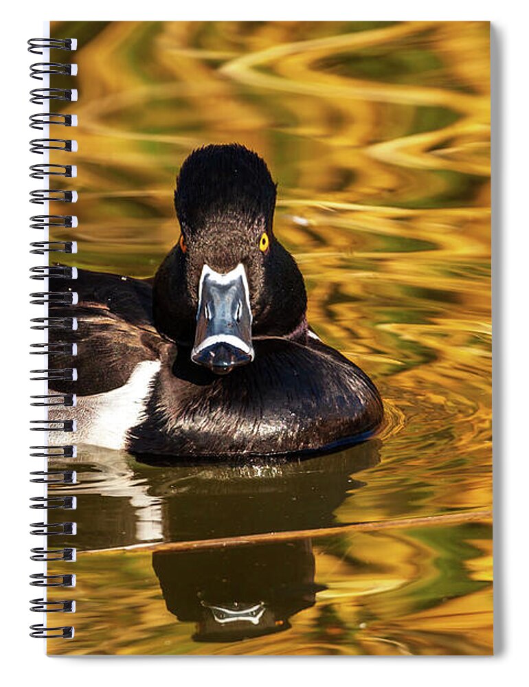 Arboretum Spiral Notebook featuring the photograph What Are You Lookin' At? by Rick Furmanek