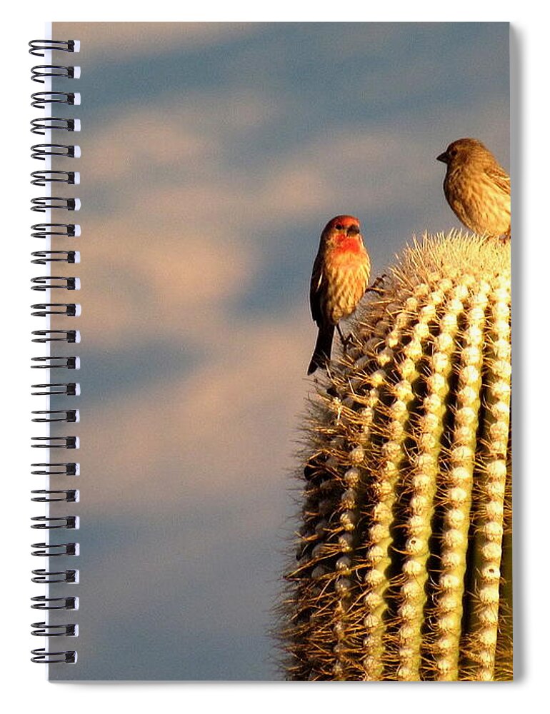 Finch Spiral Notebook featuring the photograph What Did You Say? by Adrienne Wilson