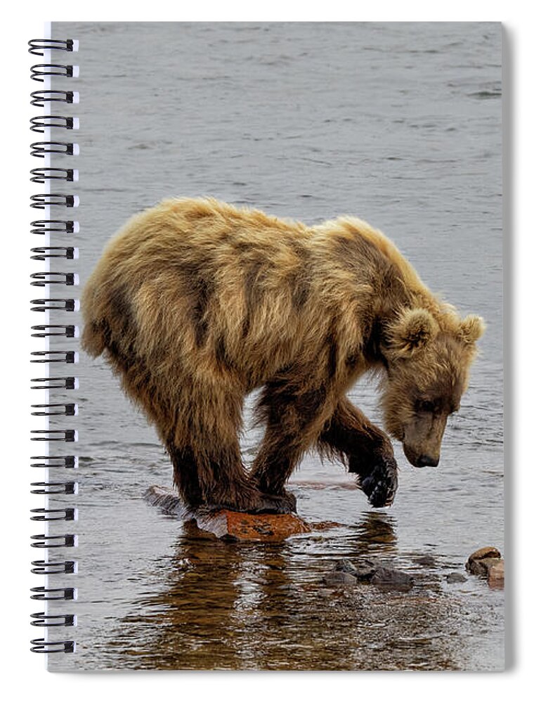 Alaska Spiral Notebook featuring the photograph What Do You See by Cheryl Strahl