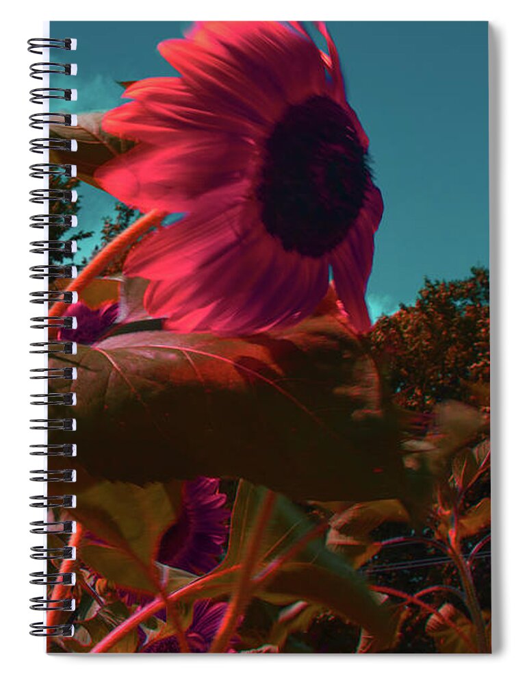 Sunflower Spiral Notebook featuring the photograph What I did on my CoVid Vacation by Cynthia Dickinson