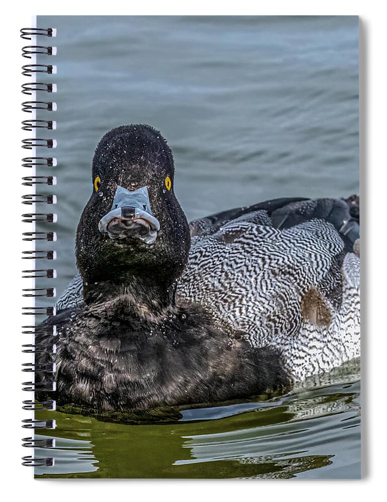 Scaub Spiral Notebook featuring the photograph What You Looking At by Brian Shoemaker