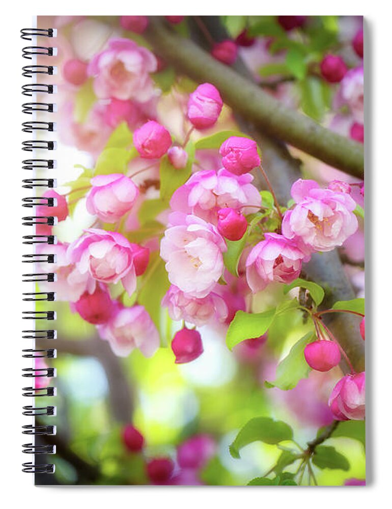 Flowers Spiral Notebook featuring the photograph When God Made You by Philippe Sainte-Laudy