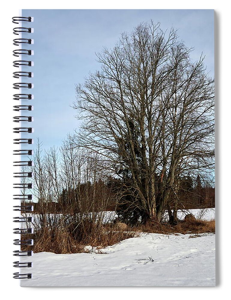 Finland Spiral Notebook featuring the photograph When the days get longer and brighter by Jouko Lehto
