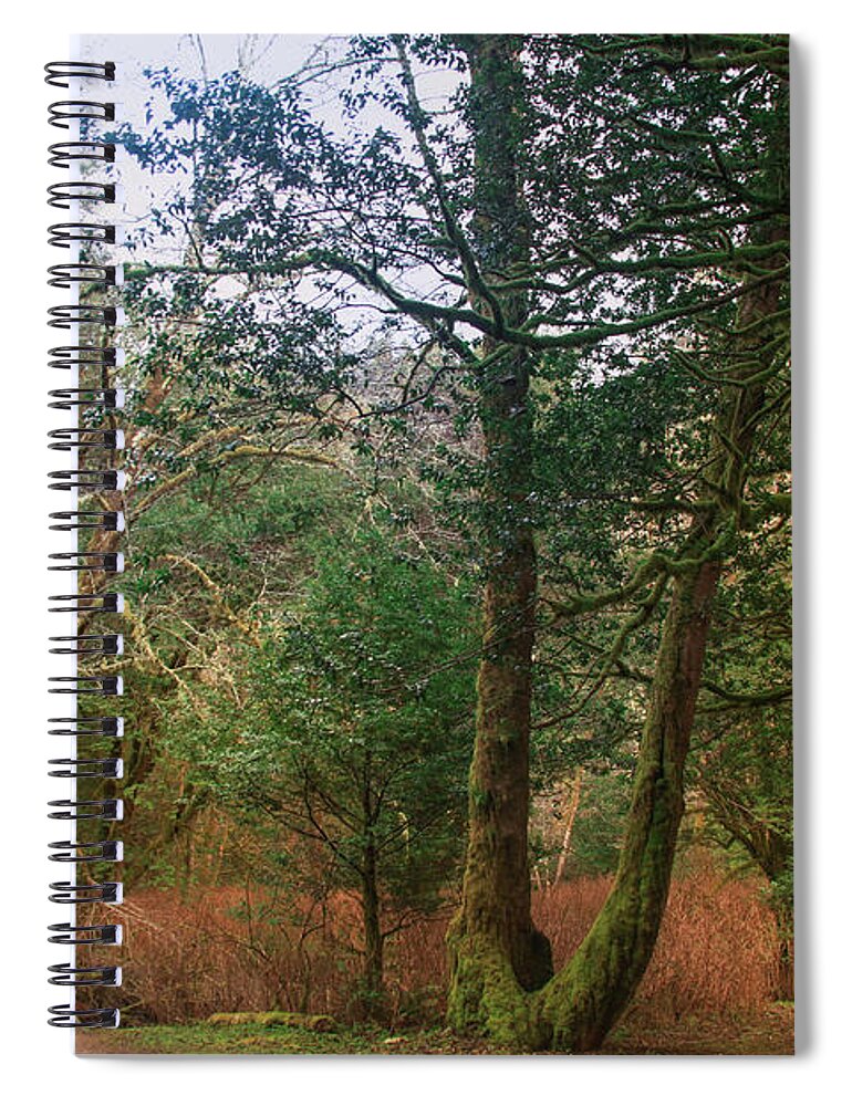 Coos Bay Spiral Notebook featuring the photograph Where the Trail Begins by Sally Bauer