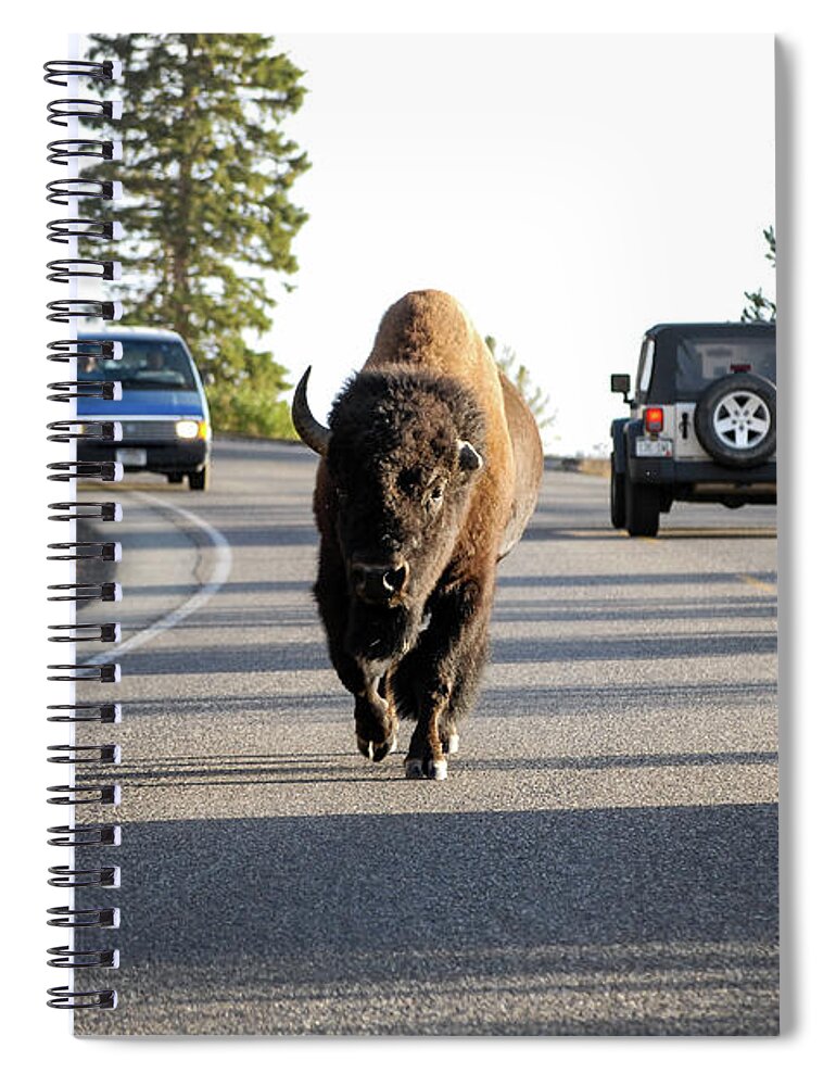 Buffalo Spiral Notebook featuring the photograph Where The Buffalo Roam - Bison, Yellowstone National Park, Wyoming by Earth And Spirit