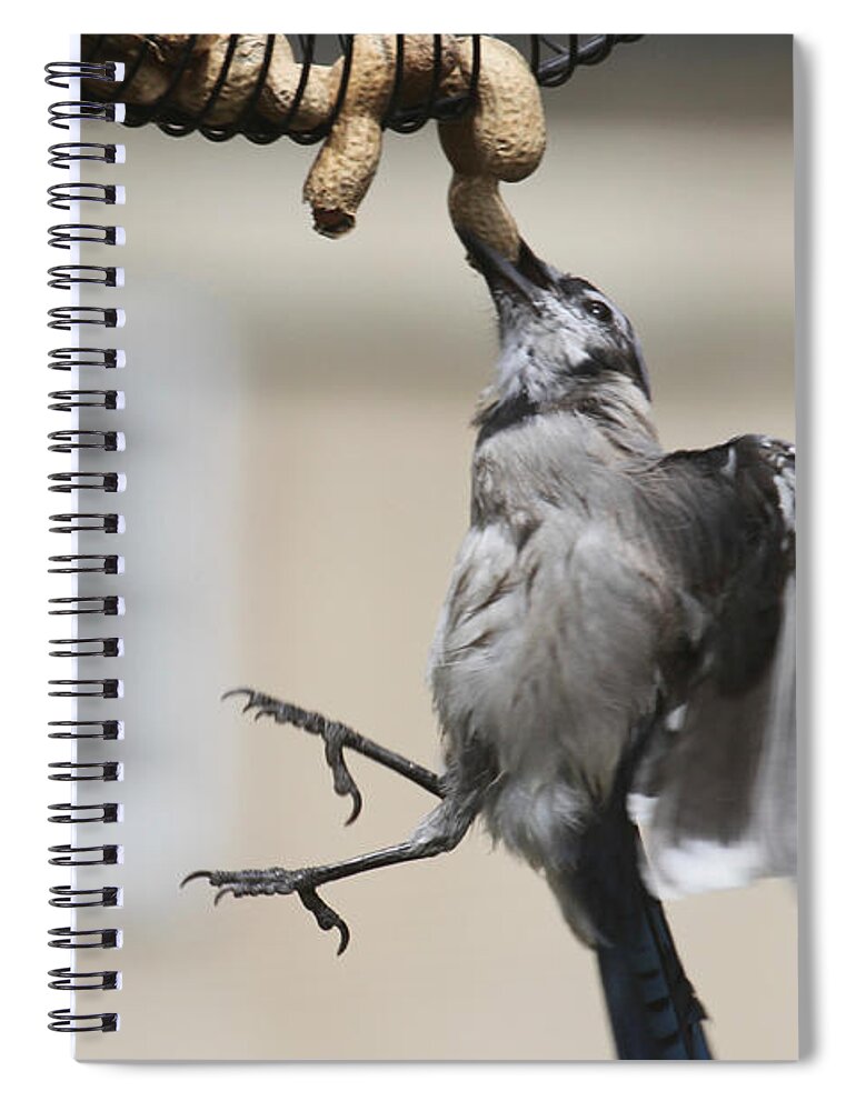 Wildlife Spiral Notebook featuring the photograph Where There's A WIll by Patricia Youngquist