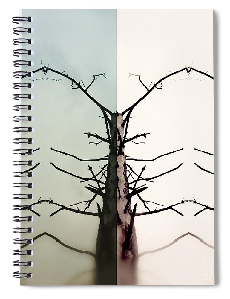Branches Spiral Notebook featuring the digital art Which Way by Alexandra Vusir