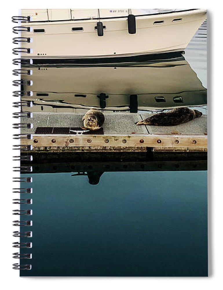 Seal Spiral Notebook featuring the photograph While The Neighbors Are Away by Tim Dussault