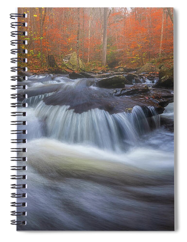 Water Spiral Notebook featuring the photograph Whisper in the Woods by Darren White