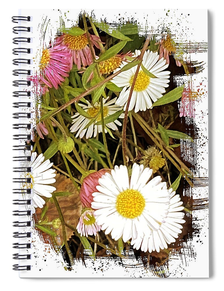 Macro Pink White Yellow Flowers Green Grass Black Background Brown Pistils Spiral Notebook featuring the digital art White and Pink Macro Flowers by Kathleen Boyles