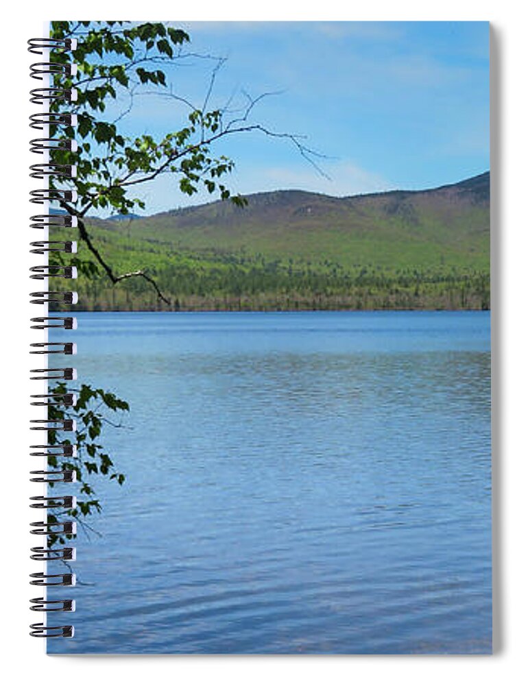 Whitebirchofnh Spiral Notebook featuring the photograph White Birch of NH by Vicky Edgerly