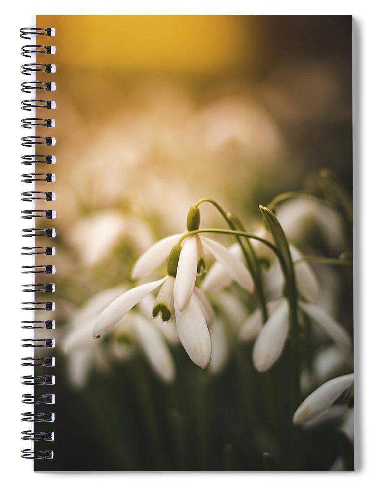 Europe Spiral Notebook featuring the photograph White common snowdrop - prank of nature by Vaclav Sonnek