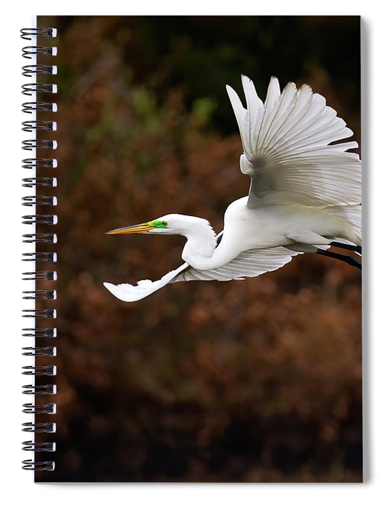 Egret Spiral Notebook featuring the photograph White Egret Flight by Art Cole
