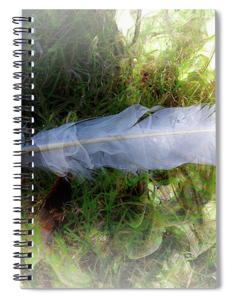 White Feather Spiral Notebook featuring the photograph White Feather by Elaine Berger