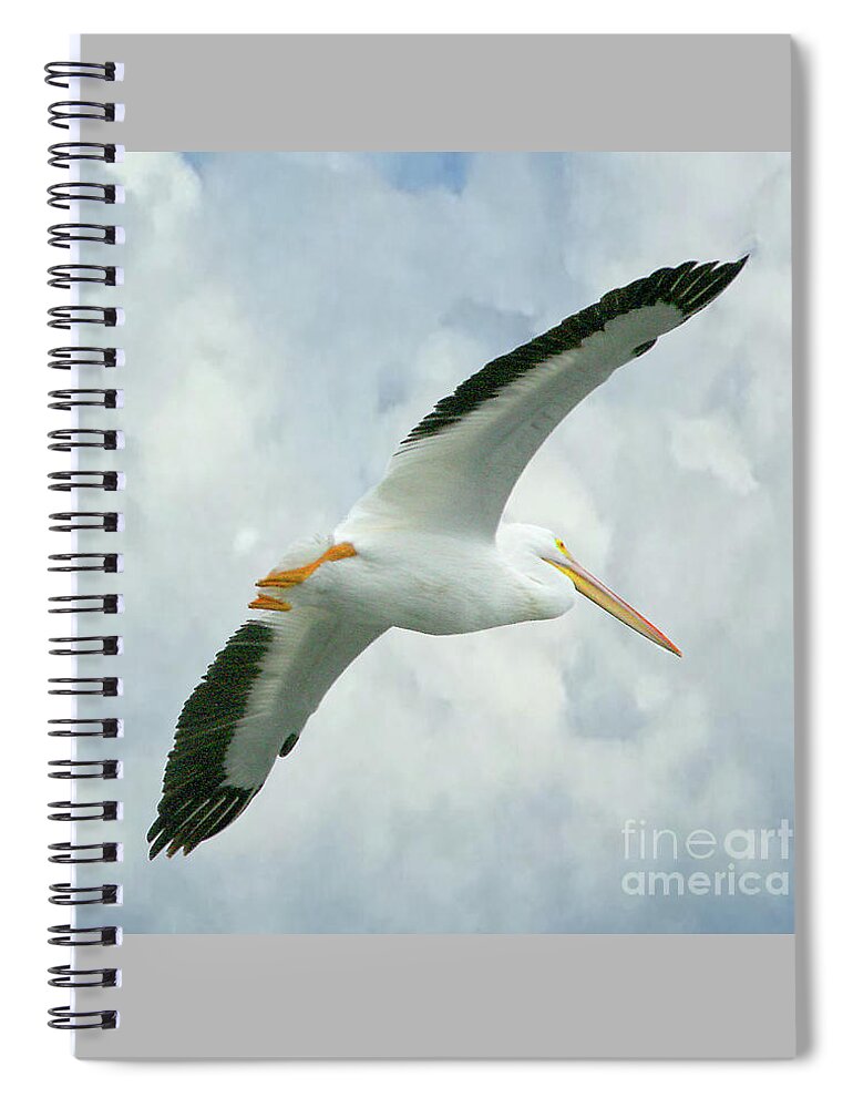 Nature Spiral Notebook featuring the photograph White Pelican in Flight by Mariarosa Rockefeller