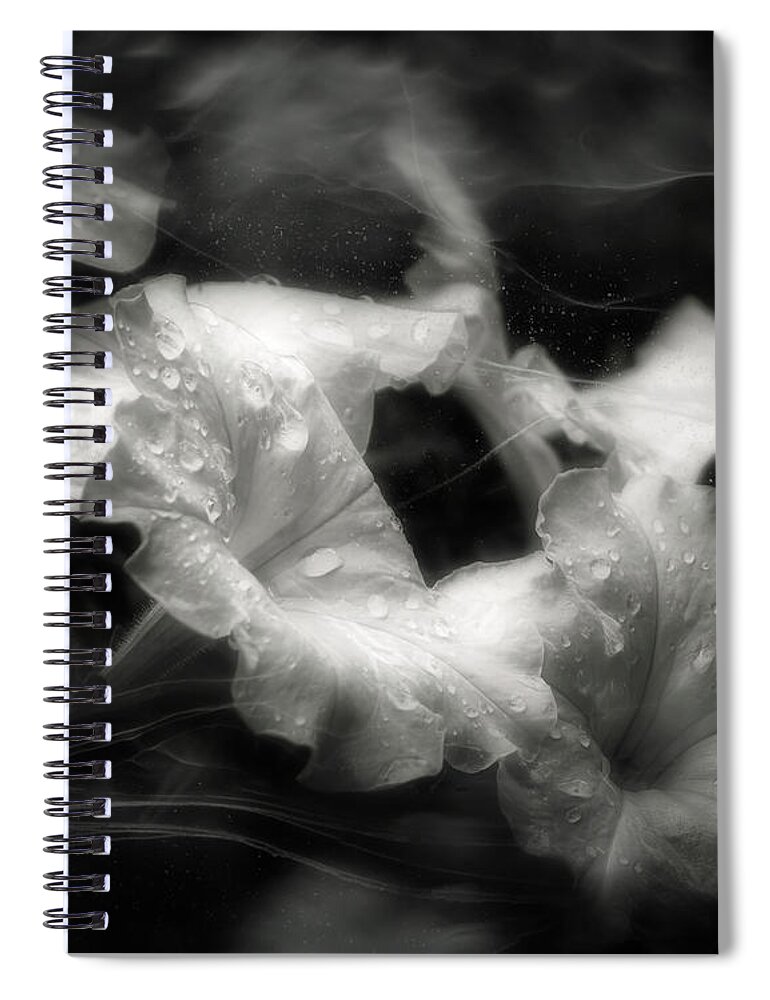 White Petunias Spiral Notebook featuring the photograph White Petunias by Laura Vilandre