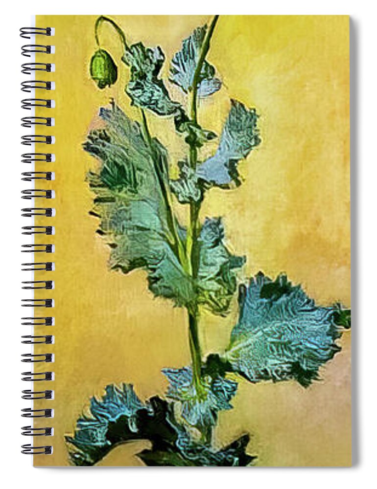 White Spiral Notebook featuring the painting White Poppy by Claude Monet 1883 by Claude Monet