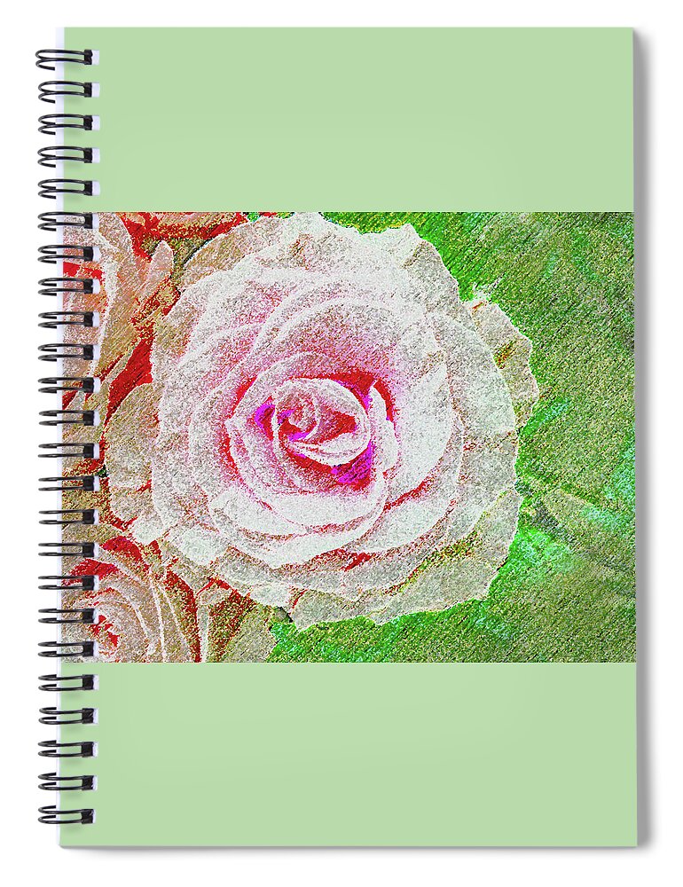 Rose Spiral Notebook featuring the photograph White Rose in Pink and Green by Corinne Carroll