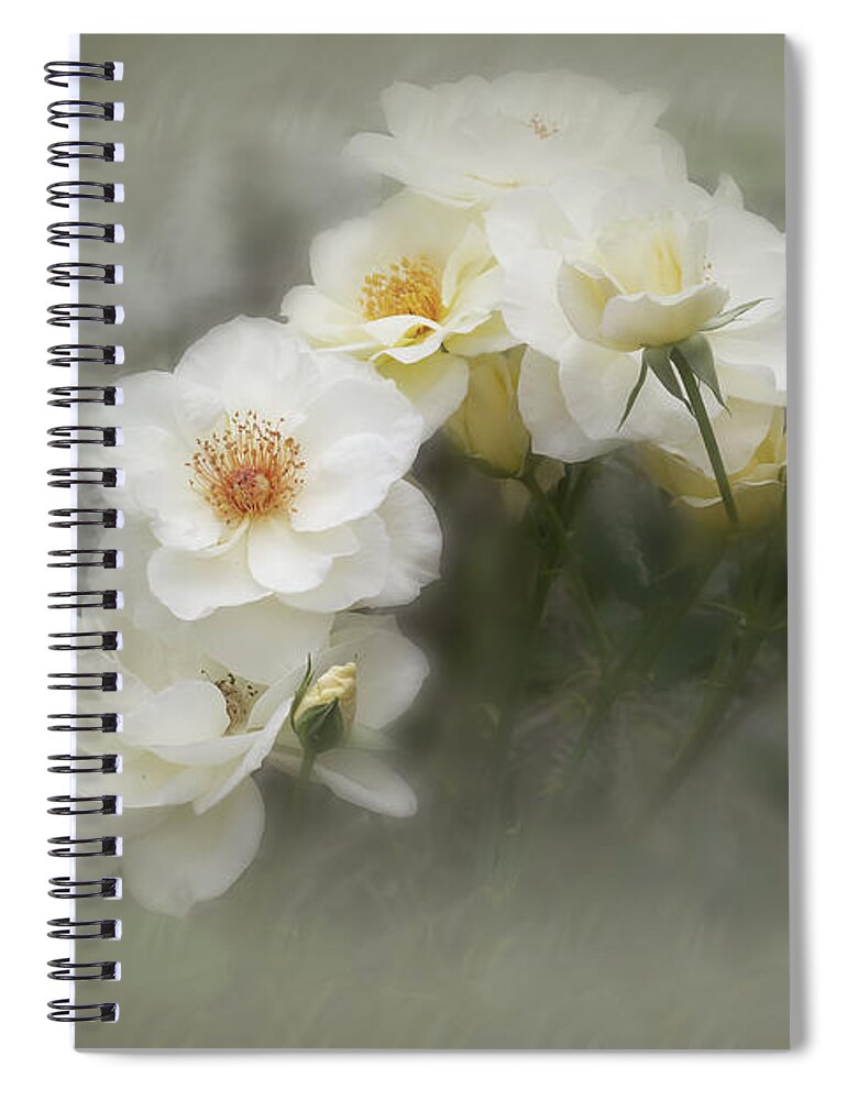 Roses Spiral Notebook featuring the photograph White Roses 2 by Elaine Teague