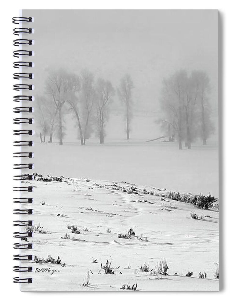 Nature Spiral Notebook featuring the photograph Whiteout by DB Hayes