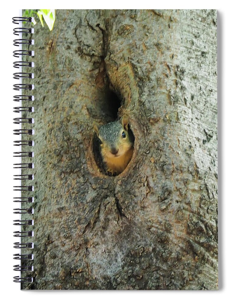 Squirrel Spiral Notebook featuring the photograph Who's There by C Winslow Shafer