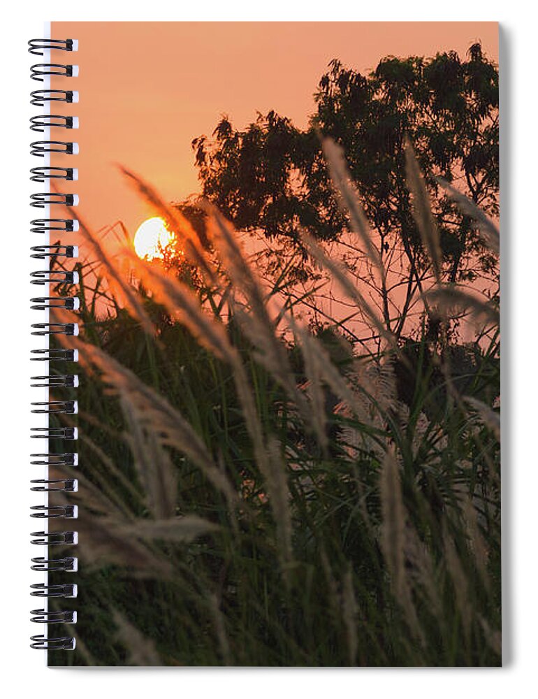 Pampas Grass Spiral Notebook featuring the photograph Wild Essence by Josu Ozkaritz
