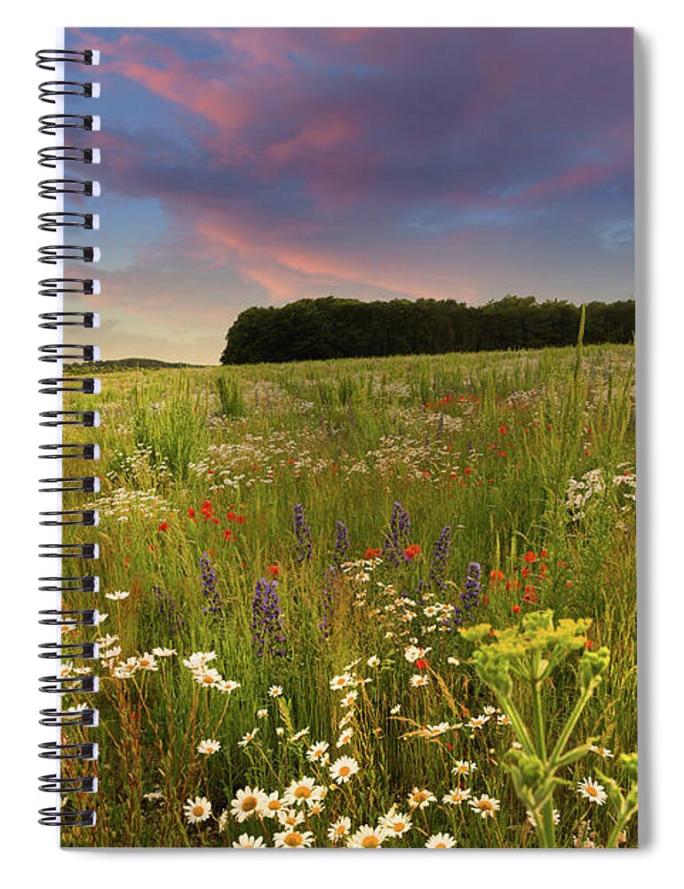 Norfolk Spiral Notebook featuring the photograph Wild flower meadow sunset landscape in England by Simon Bratt